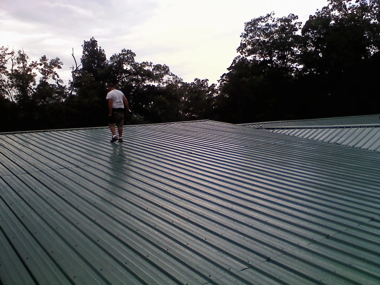 Roofer walking a wide expanse of new green metal roofing in Buena Vista